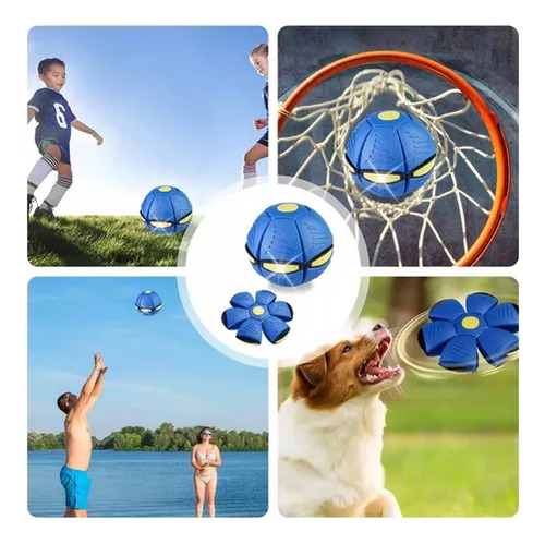 Ejercicio De Pelota Que Rebota Al Aire Libre Para Perros, Pi