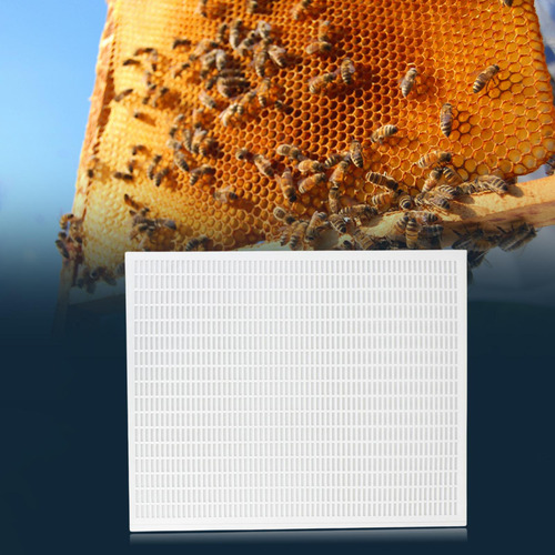 Queen Excluder Beehive Reductor De Entrada Mouse Guard