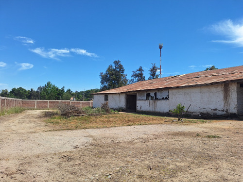 Terreno Con Gran Galpón, Bodegas, Oficinas Y Casa