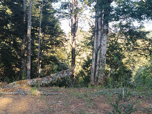 Vende Parcela Cond Piedra Blanca , Valdivia (108616)