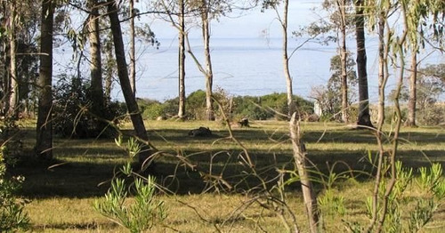 Terreno En Venta En Polo Club