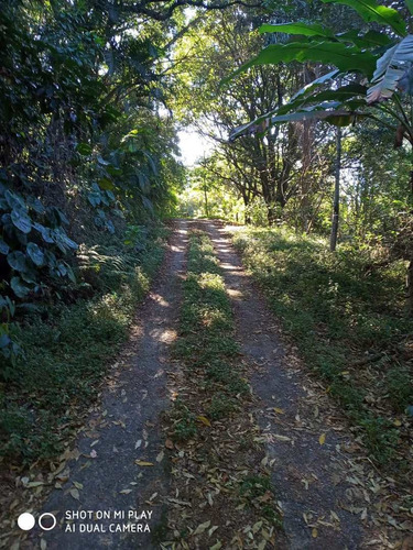 Imagem 21 de 24 de Casa, Votuparim, Santana De Parnaíba - R$ 2.88 Mi, Cod: 235371 - V235371
