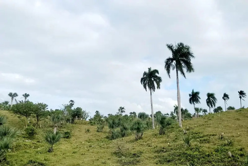 Se Vende Finca En Higuey La Tranquera 