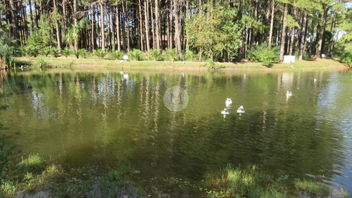 Venta Y Alquiler Apartamento 1 Dormitorio Haras Del Lago