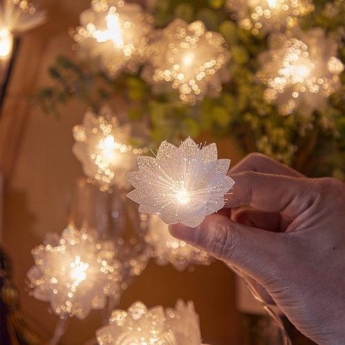Cadena De Luces Led B Con Forma De Flor Para Bodas, Interior