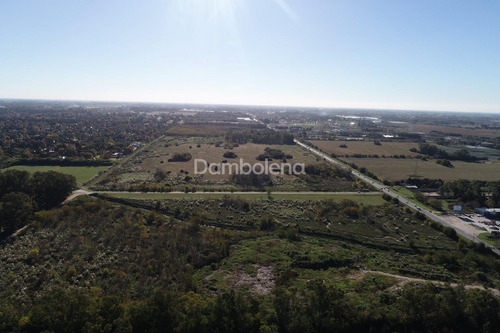 Imagen 6 de 13 de Terreno En Venta O Permuta Ubicado En Moreno, Moreno