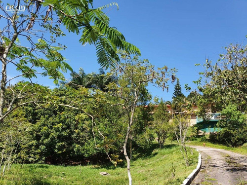 Imagem 7 de 15 de Casa Em Condominio - Bosque Dos Eucaliptos - Ref: Ri5089 - V-ri5089