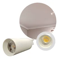 Comprar Lampara Riel Techo Dirigible 30w Luz Neutra Blanco T4918