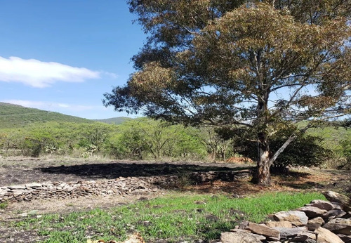 Terreno En Venta En Pie De Gallo