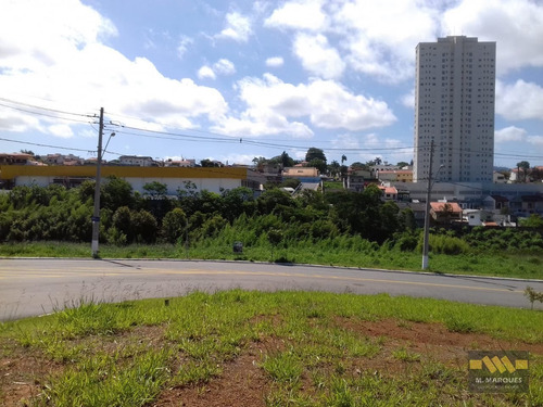 Imagem 11 de 14 de Terreno Em Real Park Vila Oliveira - Mogi Das Cruzes, Sp - 3723