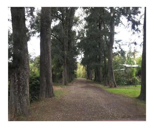 Imagen 13 de 14 de Quinta Con Muelle Privado En Dique Luján