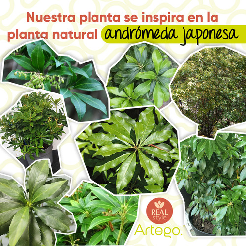 Planta Artificial Moderna Con Maceta Decorativa Real Style Andromeda Japonesa Compacta Pack De 2 Unidades De 45cm De Alto Artego Para Hogar Sala Comercio Oficina