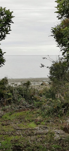 Sitios En Venta En Hualaihue