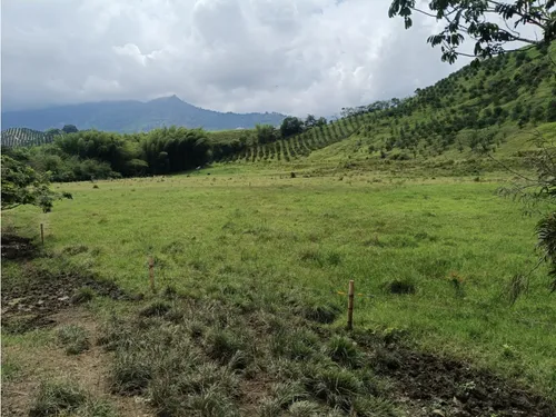 Se Vende Finca Vía Barragan - Rio Verde