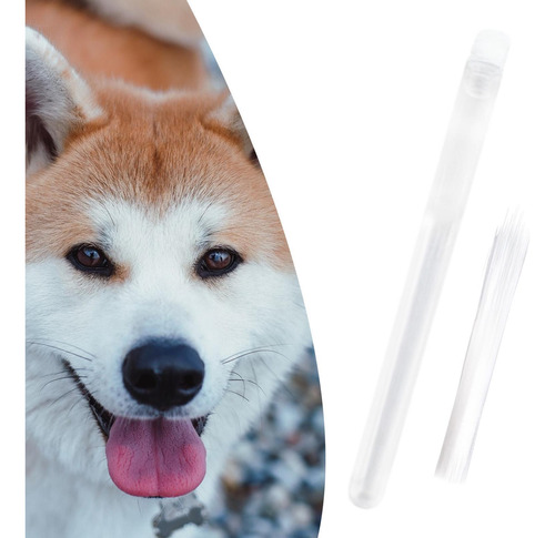 Faux Cat Whiskers Artificial Animal 015 Mm Transparente