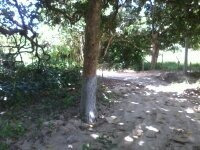Imagem 5 de 14 de Terreno Medindo 400mts2 Mais 600 De Area De Preservação B.
