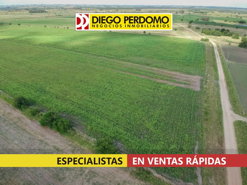 Campo De 49,5há En Venta En Jesús María, San José