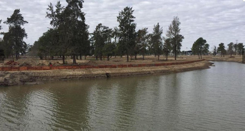 Imagen 3 de 9 de Terreno - Laguna Grande