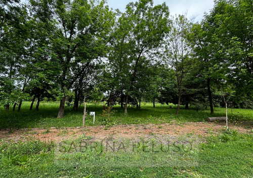 Venta Lote - Las Tres Marias - Moreno - Ruta 25
