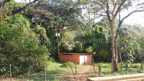 Imagen 12 de 15 de Finca En Venta Tinaquillo Cojedes Gav