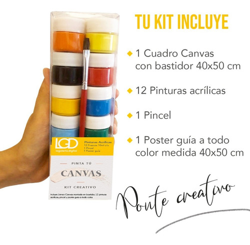 Cuadros Para Pintar Leon Selva Niños Kit Canvas C/ Pinturas