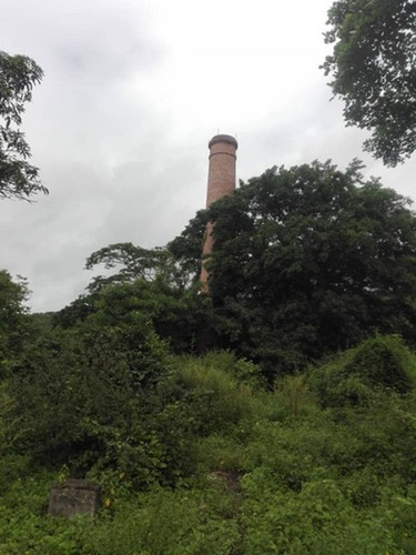 Imagen 10 de 13 de Finca En Montalbán Carabobo Fot-246