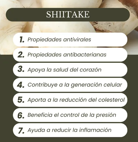Shiitake En Polvo