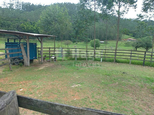 Imagem 6 de 7 de Chácara À Venda Em Canelinha/sc - 1025c