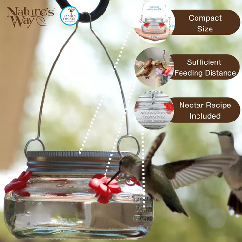 / Nature's Way Bird Products Mjf1 Mason Jar - Comedero Para
