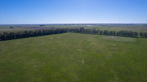 Campo En Venta Mixto 188ha San Andres De Giles