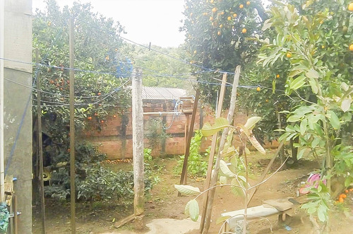 Imagem 7 de 20 de Terreno - Residencial - 934654