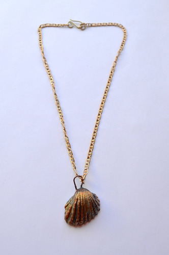 Imagen 4 de 6 de Collar Caracol De Cobre, Cadena Bronce, Joya Natural, Cod1