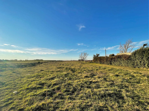 Imagen 4 de 9 de En Venta Lote Zona Parque Industrial - Tandil