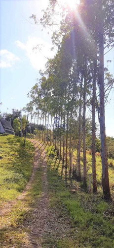 Imagem 22 de 30 de Fazenda Em Itabuna, Frente Para Br 101-160 Ha- R$ 10.000.000,00 - V65800