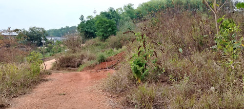 Terreno En Renta De Terreno A Pie De Carretera En Sebastopol Tuxtepec Oaxaca