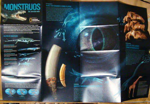 Revista Mapa National Geographic Monstruos Marinos Mares 
