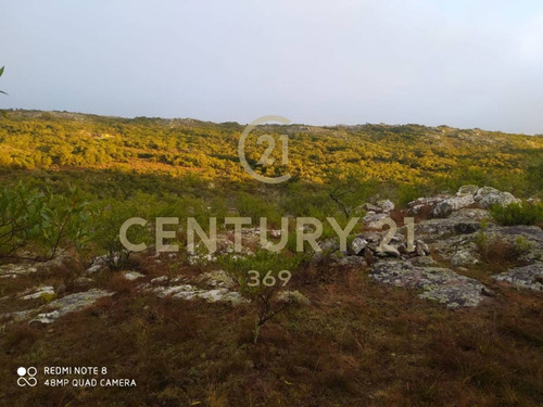 Imagen 2 de 19 de Se Vende Muy Lindo Campo Con Cañada !!