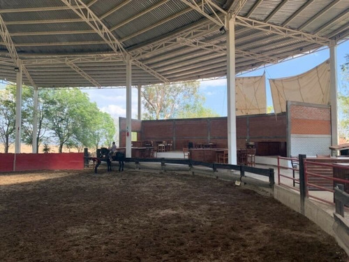Imagen 7 de 26 de Terreno En Venta En Fraccionamiento Campestre Huichapan, Hidalgo - (2)