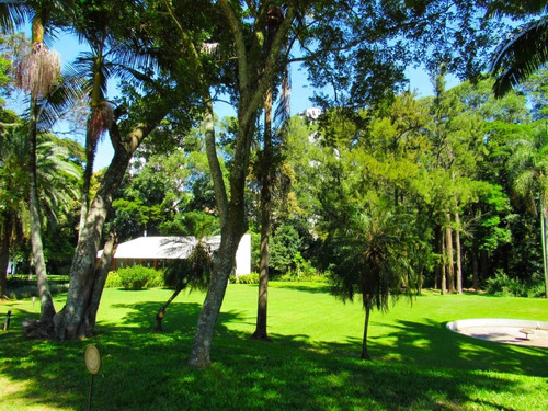 Imagem 11 de 28 de Terreno-são Paulo-alto Da Boa Vista | Ref.: Reo38411 - Reo38411