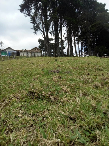 Imagen 17 de 20 de Finca En Casa Via El Padre De 45 Hectáreas