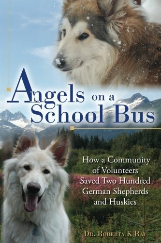 Angels On A School Bus How A Community Of Volunteers Saved T