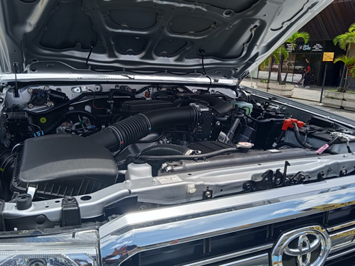 Imagen 12 de 13 de Toyota Hembrita