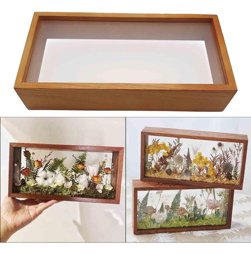 Marco, Vitrina De Flores Secas, Rectangular, 10 Pulgadas