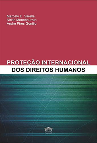 Libro Protecao Internacional Dos Direitos Humanos