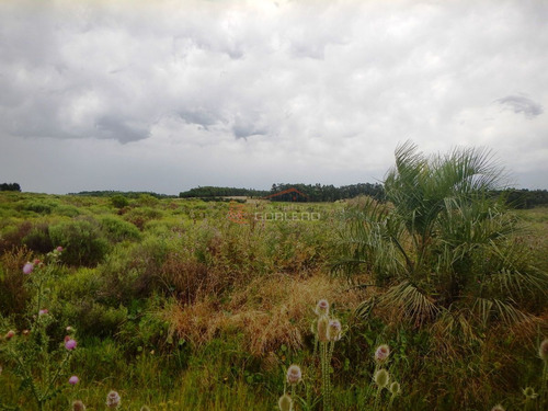 Imagen 7 de 11 de Chacra En Punta Del Este, Ruta 104