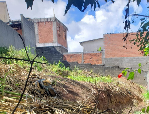 Imagem 2 de 4 de Terreno 250 M² - Jardim Stela Maris - Cotia Sp - Tr471223v
