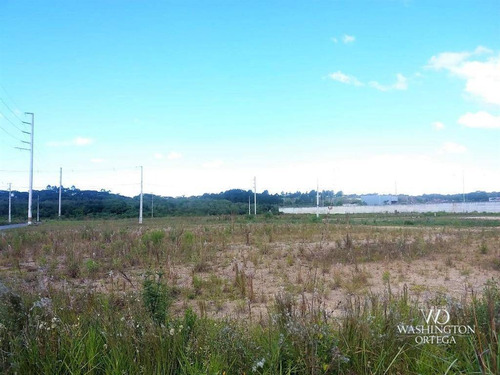 Terreno À Venda, 360 M² 10% De Entrada Rio Pequeno - São José Dos Pinhais/pr - Te0064