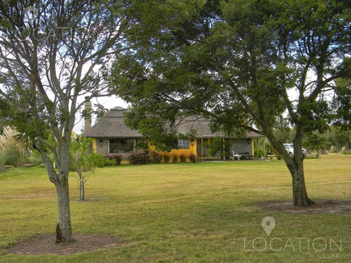 Campo - José Ignacio