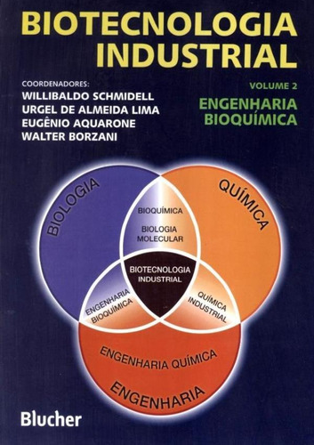 Biotecnologia Industrial - Volume 2 - Engenharia Bioquimica, De Schmidell, Willibaldo. Editora Edgard Blucher, Capa Brochura Em Português
