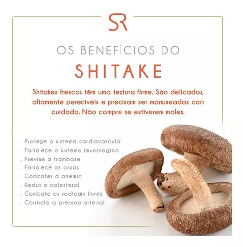 Shitake desidratado pc 500g - Shambala Naturais